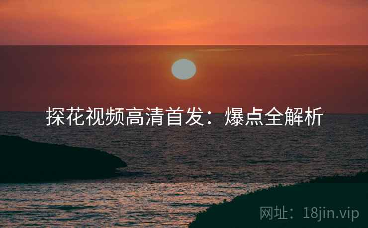 探花视频高清首发：爆点全解析