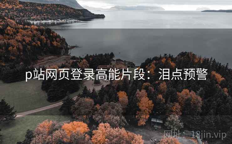 p站网页登录高能片段：泪点预警