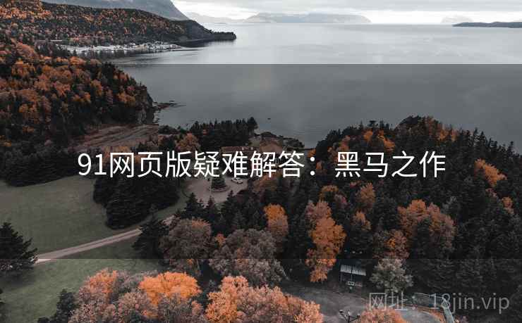 91网页版疑难解答：黑马之作