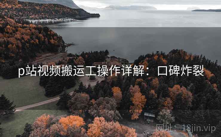p站视频搬运工操作详解：口碑炸裂